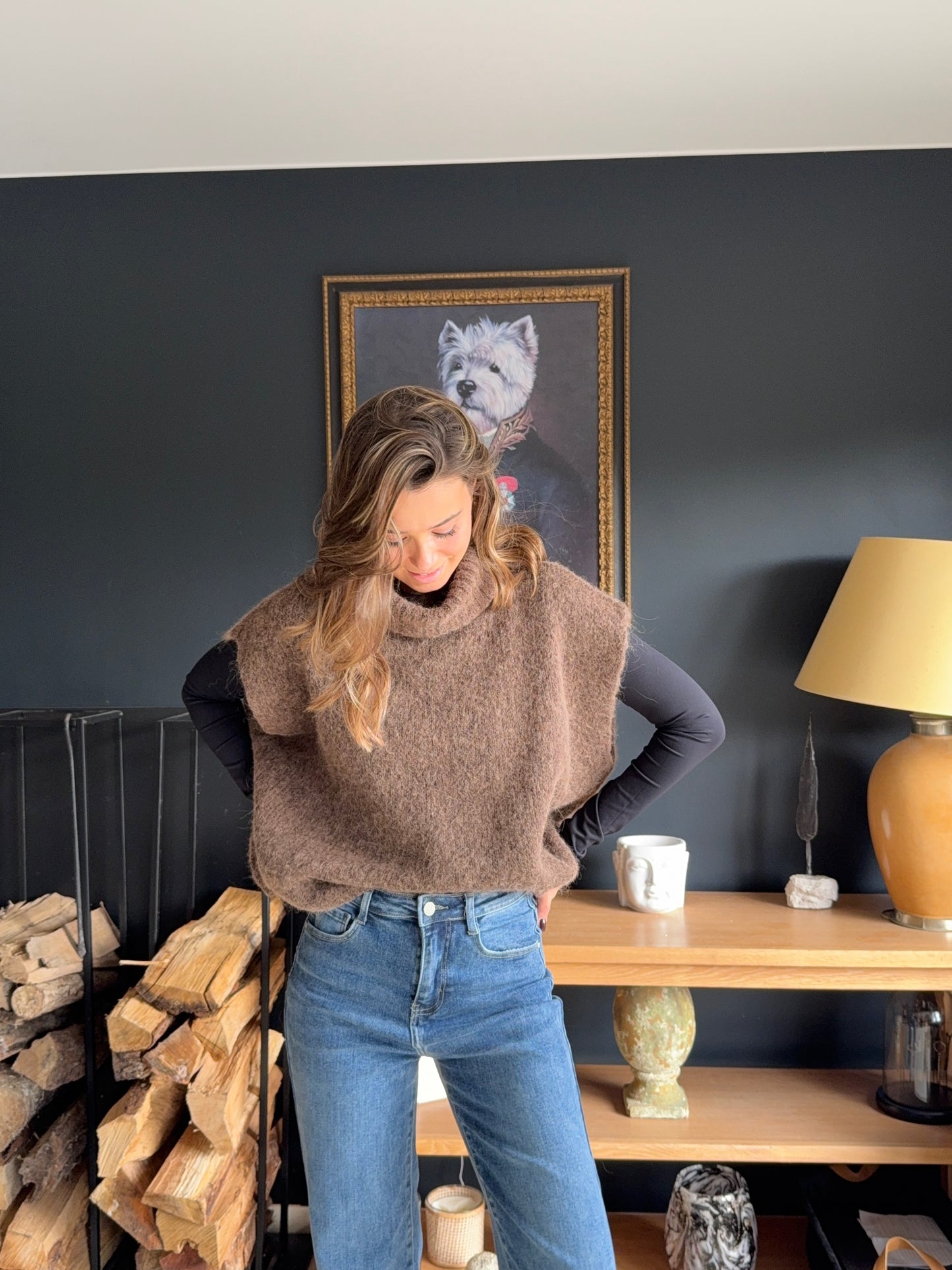 Pull col roulé sans manches Eline (brun)