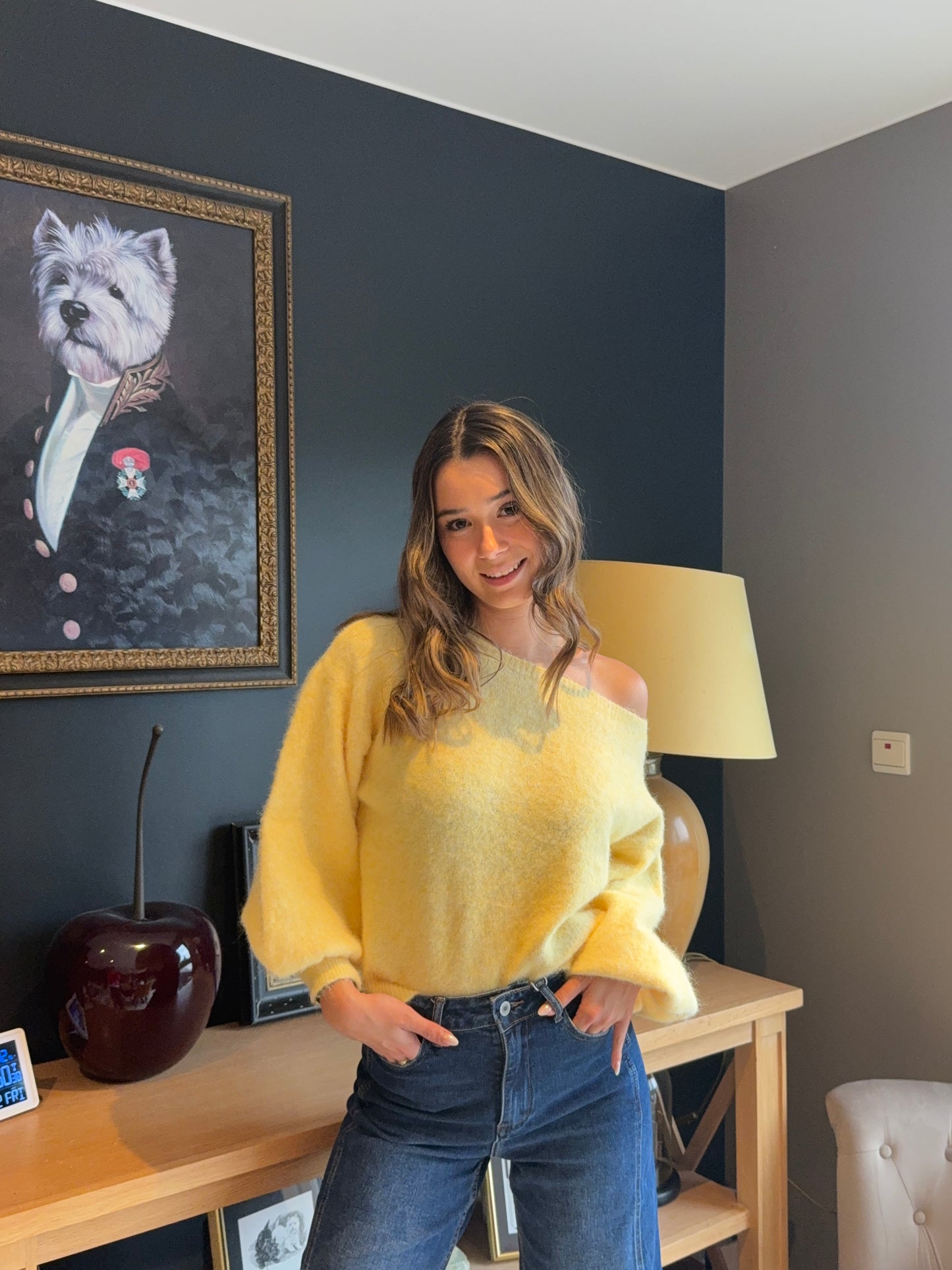 Pull épaule dénudée Maria